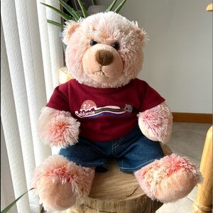 Build A Bear Vintage Bear